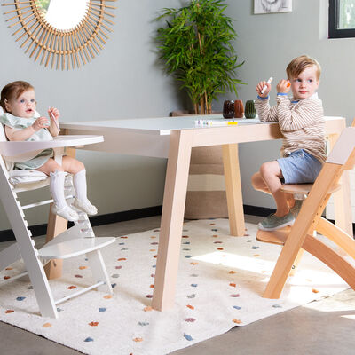 High chair Evosit naturel 