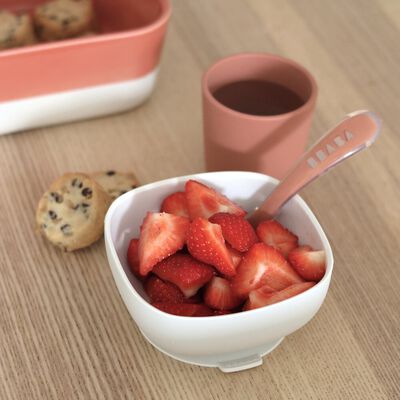 Coffret repas silicone Terracotta