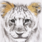Peinture - Lion + Or - 30x40 Cm